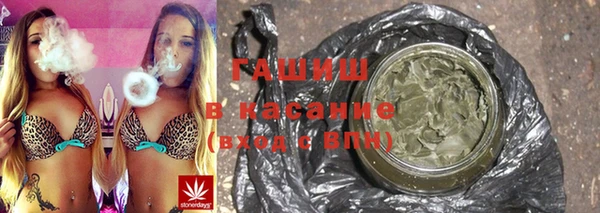шишки Алзамай