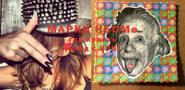 шишки Алзамай