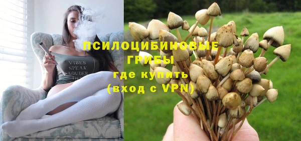 МДПВ Алексеевка