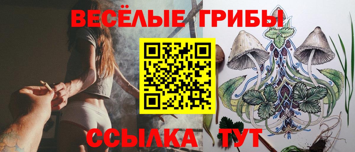 Псилоцибиновые грибы мухоморы Петрозаводск